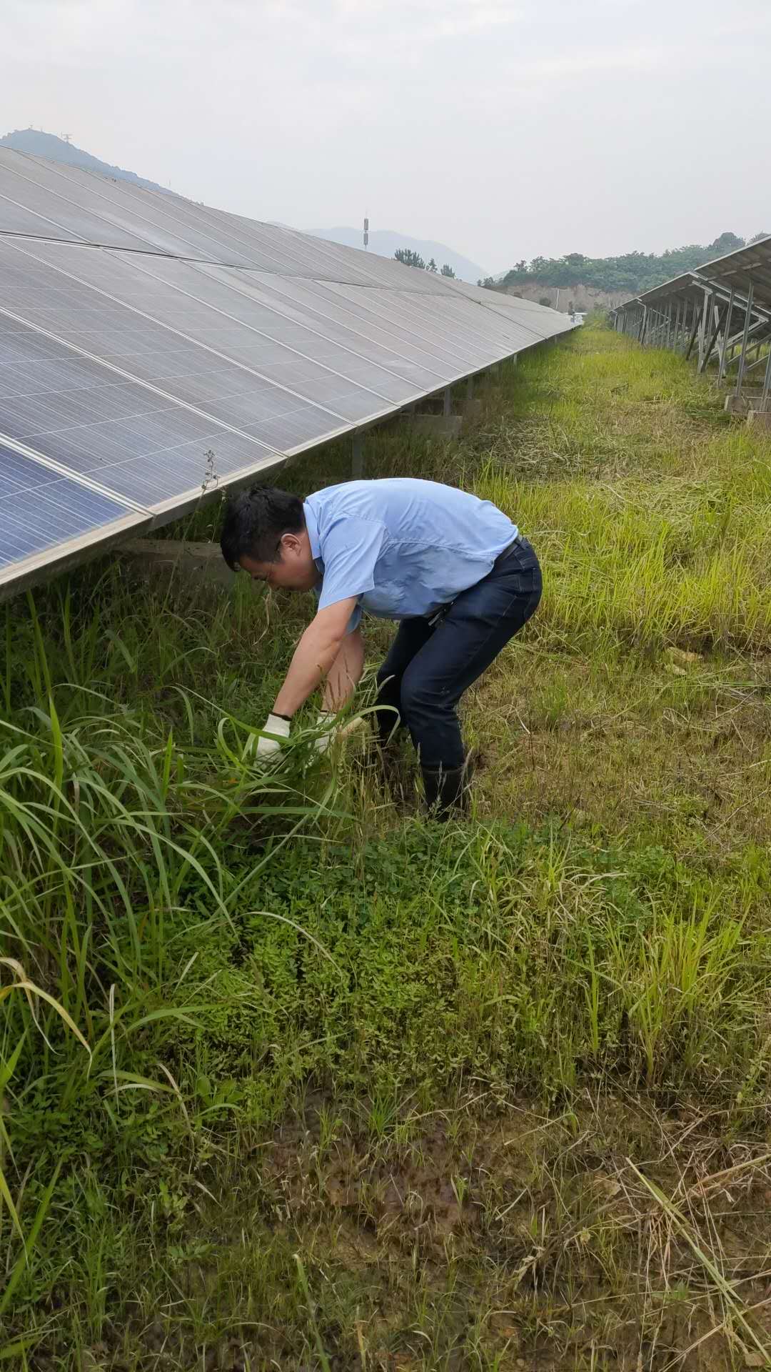 东方心正经